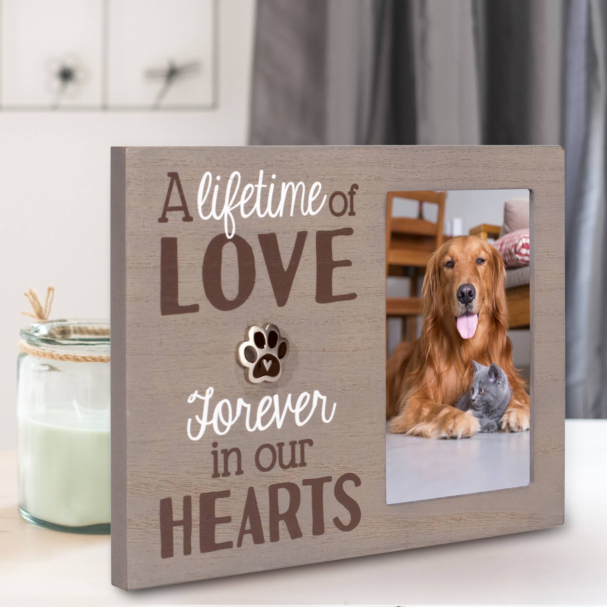 Malden International Designs A Lifetime of Love, Forever in our Hearts 4" x 6" Pet Frame